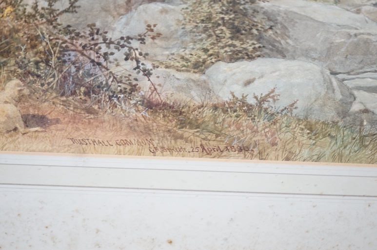 G R Smith, watercolour, Rusthall Common, signed and dated 25th April 1886, 32 x 48cm. Condition - fair to good